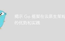 揭示 Go 框架在云原生架构中的优势和实践