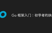 Go 框架入门:初学者的抉择