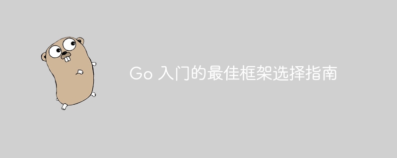 Go 入门的最佳框架选择指南