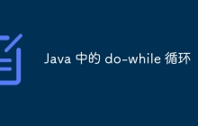Java 中的 do-while 循环