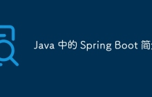 Java 中的 Spring Boot 简介