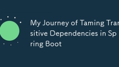My Journey of Taming Transitive Dependencies in Spring Boot