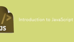 JavaScript 简介