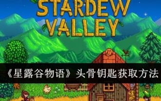 Comment obtenir la clé du crâne dans Stardew Valley