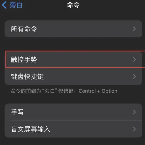 iphone手机怎么设置旁白触控手势