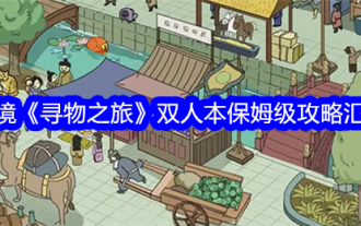 A summary of the nanny-level guide for the two-player version of the mystery 'Hidden Object Journey'