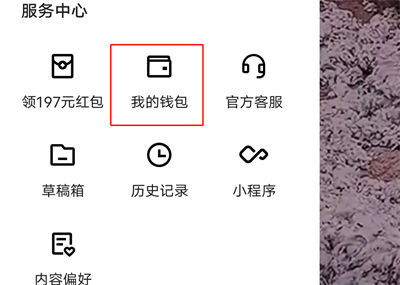快手查发票记录明细方法步骤 快手怎么查发票记录明细