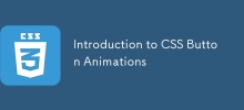 Introduction aux animations de boutons CSS