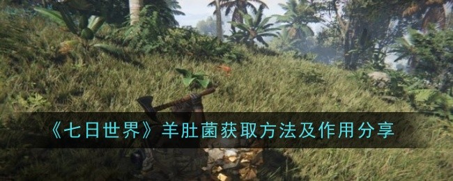 《七日世界》羊肚菌获取方法及作用分享