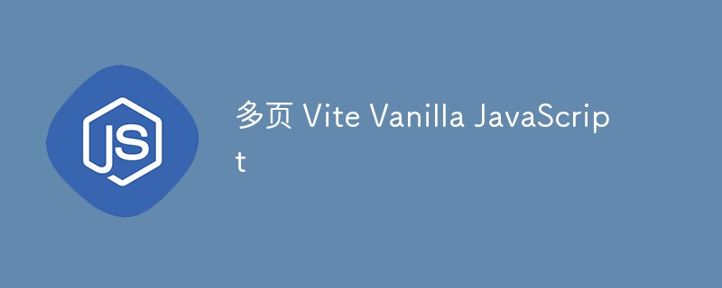 多页 vite vanilla javascript