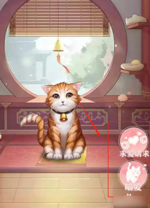 后宫秘史怎么喂出大猫 爱江山更爱美人（后宫秘史）如何养宠物