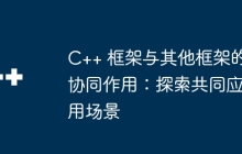 C++ 框架与其他框架的协同作用：探索共同应用场景