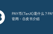 PAY币(TenX)是什么？PAY币官网、白皮书介绍