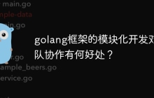 golang框架的模块化开发对团队协作有何好处?
