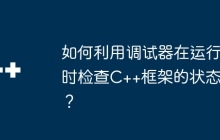 如何利用调试器在运行时检查C++框架的状态？