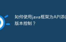 如何使用java框架为API添加版本控制？