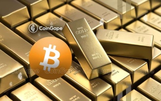 ビットコインニュース:コインシェアーズのデジタル資産責任者スティーブン・マックラーグ氏が最近、米国が戦略的BTC準備金を確立するよう提唱
