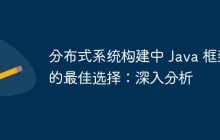 分布式系统构建中 Java 框架的最佳选择：深入分析