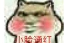 涩涩也要开卷？《第七史诗》发布真人PV，比《尘白禁区》还要顶！