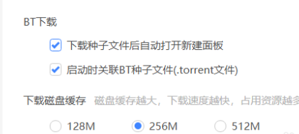 迅雷11怎么设置下载磁盘缓存 迅雷11设置下载磁盘缓存的方法
