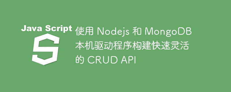 使用 Nodejs 和 MongoDB 本机驱动程序构建快速灵活的 CRUD API 使用 Nodejs 和 MongoDB 本机驱动程序构建快速灵活的 CRUD API