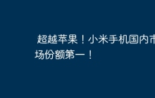 超越苹果!小米手机国内市场份额第一!