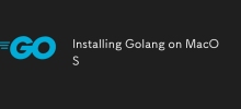 Golang unter MacOS installieren