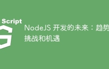 NodeJS 开发的未来：趋势、挑战和机遇