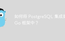 如何将 PostgreSQL 集成到 Go 框架中?