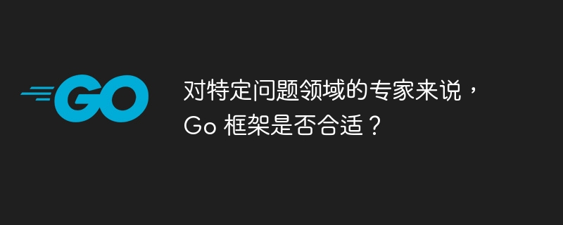 对特定问题领域的专家来说，Go 框架是否合适？