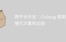 跨平台开发：Golang 框架与替代方案的比较