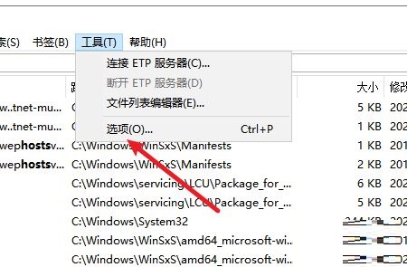 Everything怎么设置运行历史保存天数 Everything设置运行历史保存天数教程