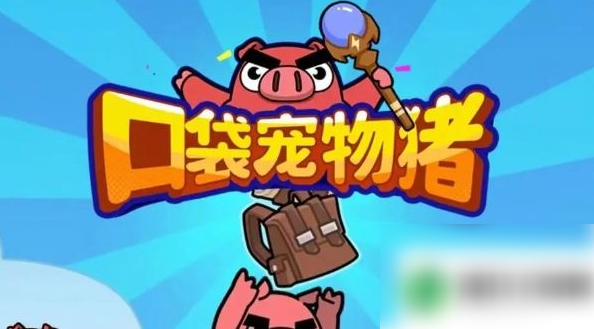 口袋宠物猪怎么只带一件装备 口袋宠物猪装备介绍
