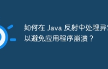 如何在 Java 反射中处理异常以避免应用程序崩溃？