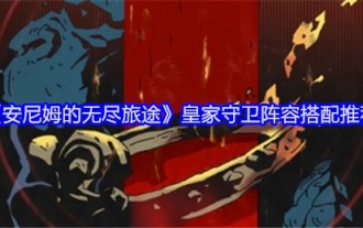 Recommandation pour la composition de la garde royale 'Anim's Endless Journey'