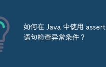 如何在 Java 中使用 assert 语句检查异常条件？