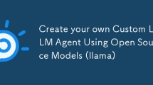 Erstellen Sie Ihren eigenen benutzerdefinierten LLM-Agenten mithilfe von Open-Source-Modellen (Lama)