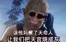 还我大圣梦 《黑神话：悟空》风灵月影修改器上线