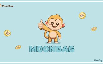 Super Trump Coin, Memereum, MoonBag : une plongée profonde dans le monde des Meme Coins