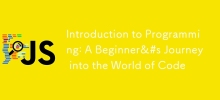 Introduction to Programming: A Beginner