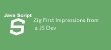 Zig First Impressions from a JS Dev