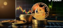 Whale Alert Reports Transfer of 118,925,431 DOGE ($13.3 Million) to Binance