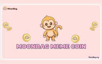 MoonBag: The Best Crypto Presale in August 2024