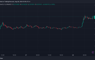 Der TON-basierte Memecoin wird mit einem Anstieg von 30 % zum größten Gewinner