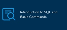 SQL と基本コマンドの概要