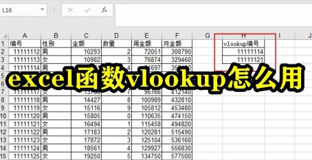 Excel函數vlookup怎麼用 Excel函數vlookup使用教學課程