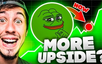 Pepe Coin($PEPE) 가격 예측 2024: 55% 하락 후 회복할 수 있습니까?
