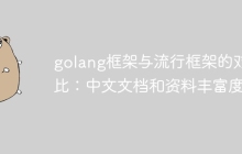 golang框架与流行框架的对比：中文文档和资料丰富度