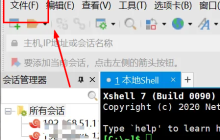 Xshell怎么导出会话 Xshell导出会话方法