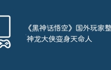 《黑神话悟空》国外玩家整活 神龙大侠变身天命人